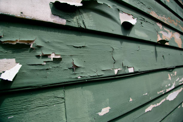 Best Construction Debris Removal  in Sanibel, FL