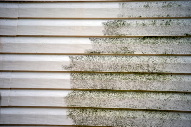 Trusted Sanibel, FL Junk Removal Experts